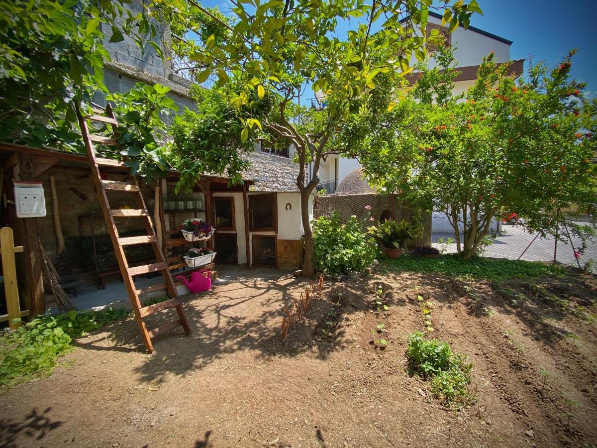 Casa Vacanze Gli Agrumi Agropoli Exterior photo