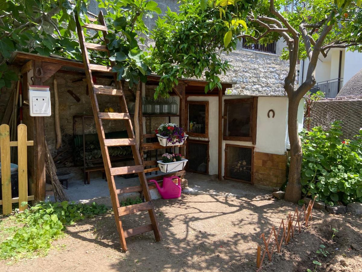 Casa Vacanze Gli Agrumi Agropoli Exterior photo